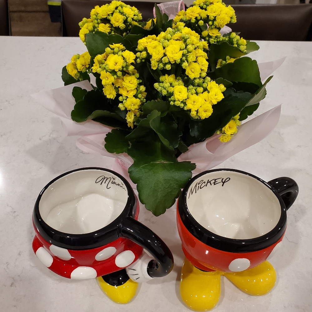 Disney's Mickey and Minnie Mugs